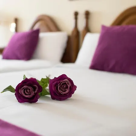 De 2* إلثييغو